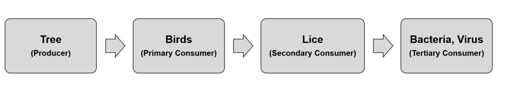 Representation of Parasitic Food Chain