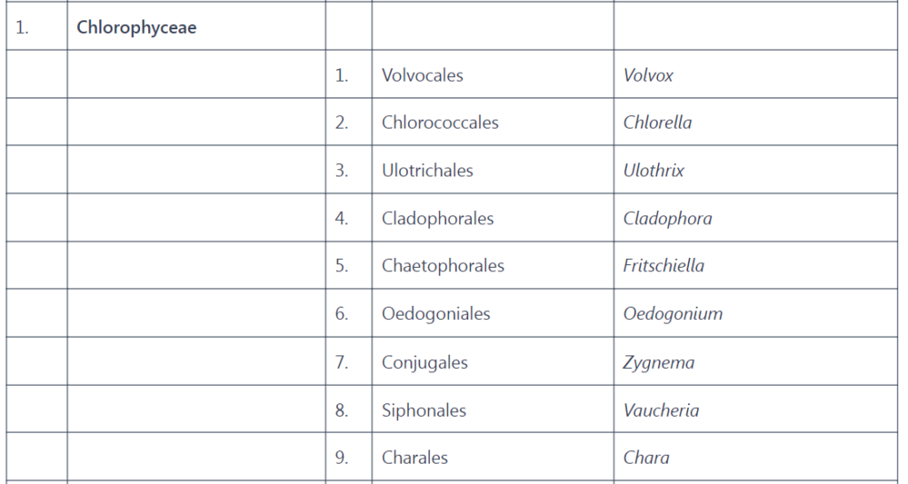 Classification of Algae (Chlorophyceae) With Common Examples