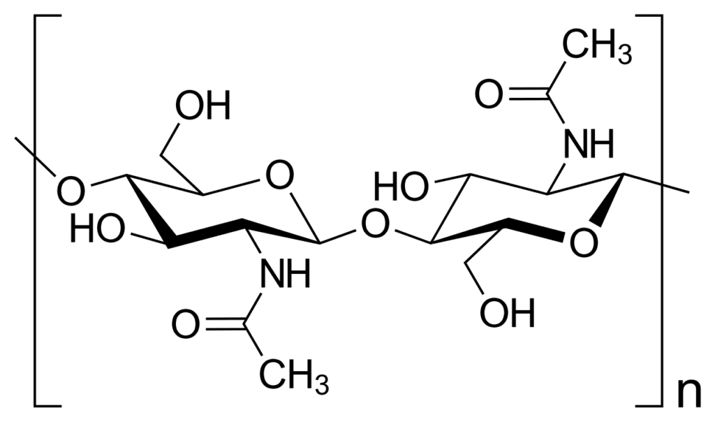 Carbohydrate Chitin.svg