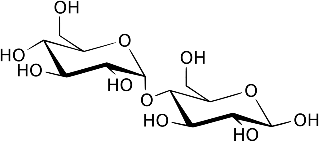 Carbohydrate, Maltose