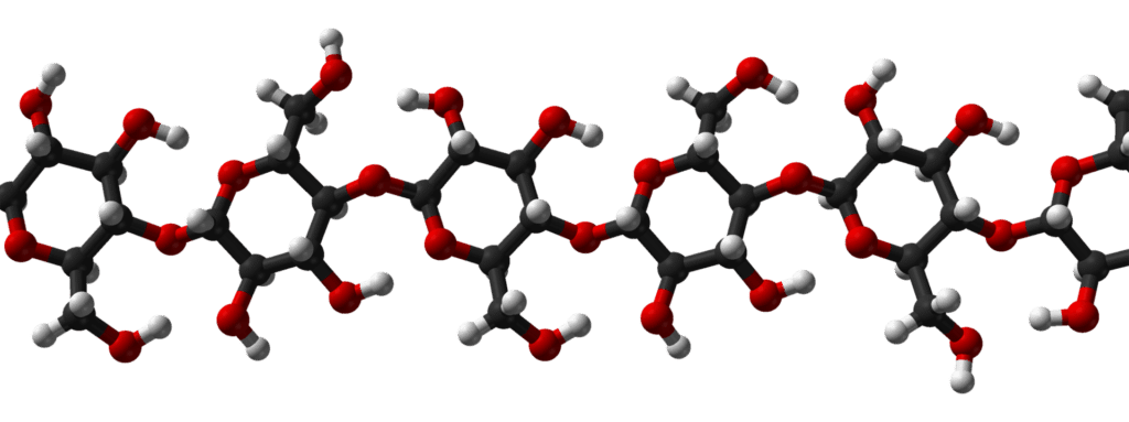 Carbohydrate, cellulose, 3D structure