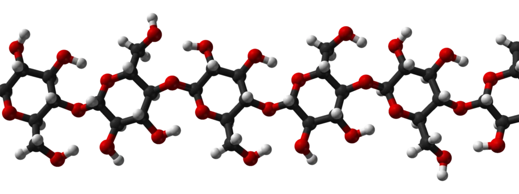 Carbohydrate, Cellulose 3D structure