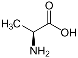 Amino acids alanine
