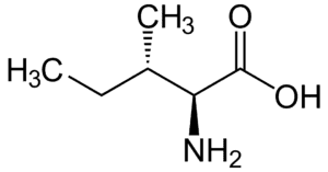 Amino acids Isoleucine