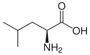 Amino acids leucine
