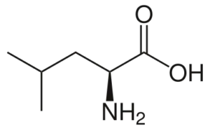 Amino acids leucine
