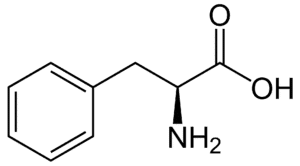 Amino acids Phenylalanine