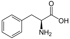 Amino acids Phenylalanine