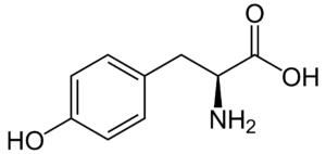 Amino acids Tyrosine