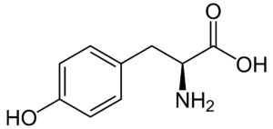 Amino acids Tyrosine