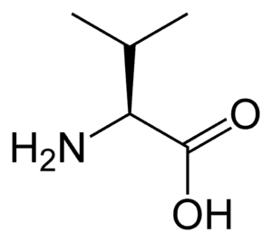 Amino acids Valine