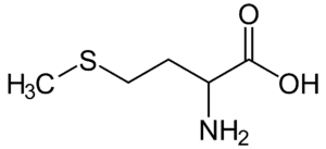 Amino acids Methionine