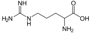 Amino acids Arginine