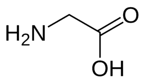 Amino acids Glycine
