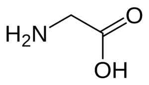 Amino acids Glycine