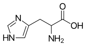 Amino acids Histidine