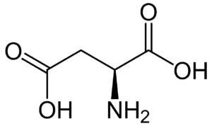 Amino acids Aspartic acid