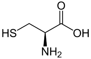 Amino acids Cysteine