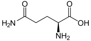 Amino acids Glutamine