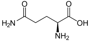 Amino acids Glutamine