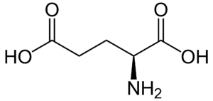 Amino acids Glutamic acid