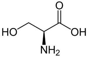 Amino acids Serine