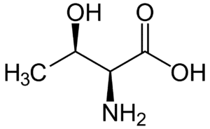 Amino acids Threonine