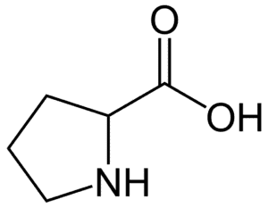 Amino acids Proline