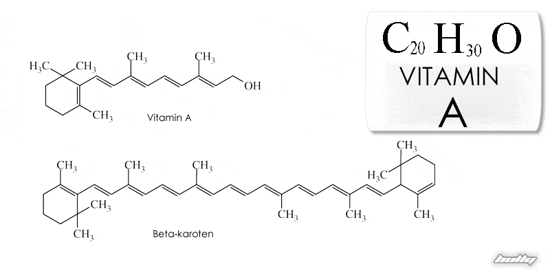 Fat soluble vitamins (Vitamin A)
