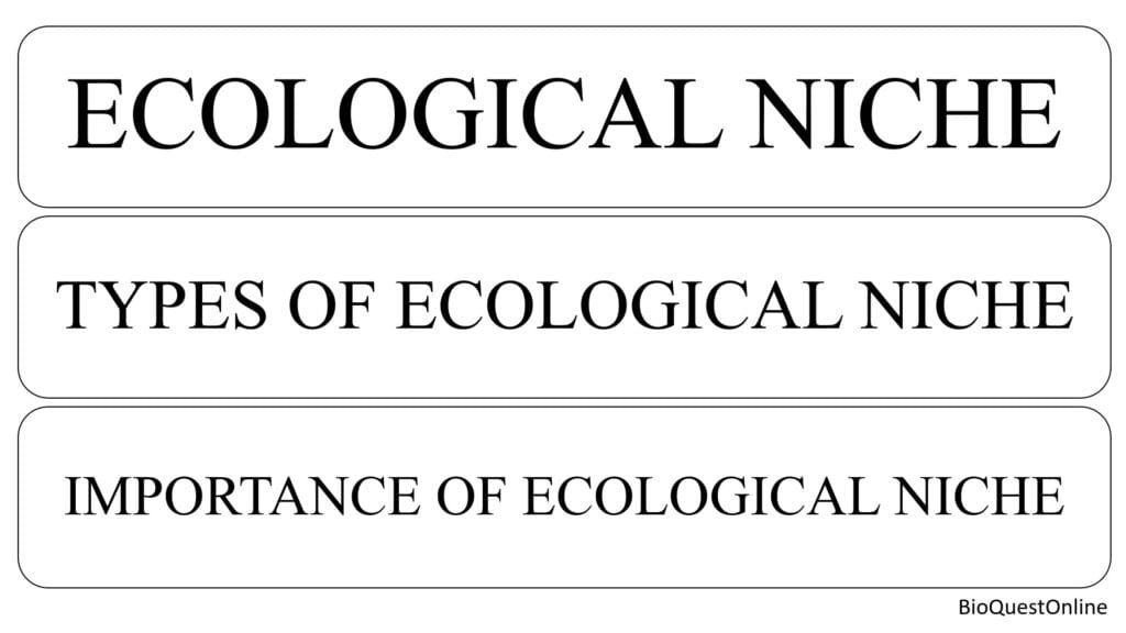 Ecological niche, types of ecological niche and importance of ecological niche