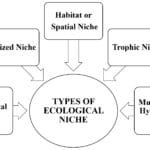 types of ecological niche