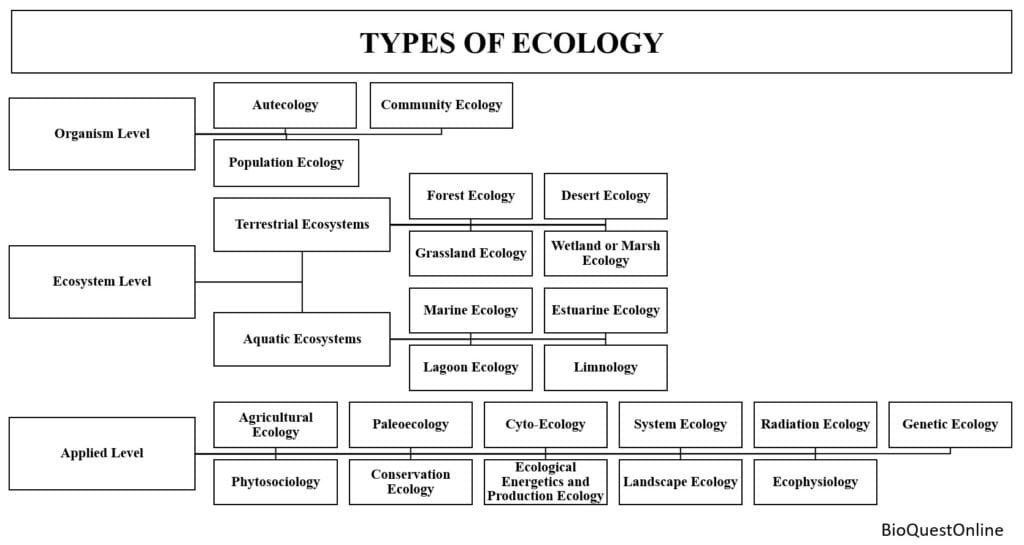 types of ecology